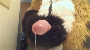 Murrsuit Cum Compilation