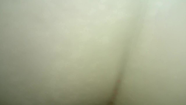 Damm Nice Fuck